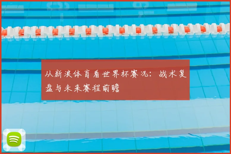 从新浪体育看世界杯赛况：战术复盘与未来赛程前瞻