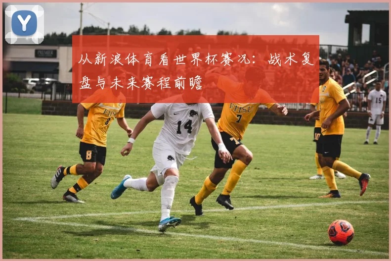 从新浪体育看世界杯赛况：战术复盘与未来赛程前瞻