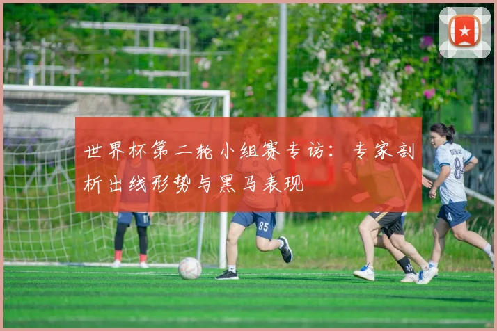 世界杯第二轮小组赛专访：专家剖析出线形势与黑马表现