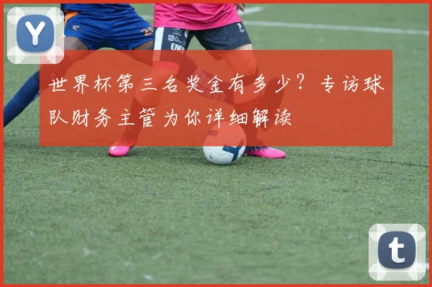 世界杯第三名奖金有多少？专访球队财务主管为你详细解读