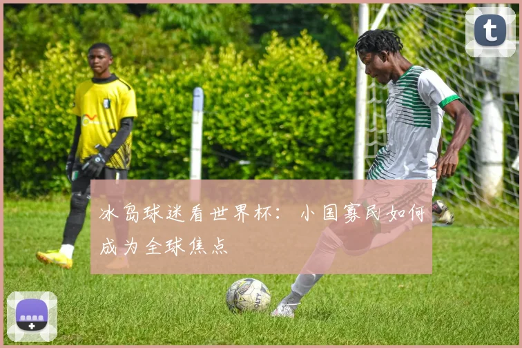 冰岛球迷看世界杯：小国寡民如何成为全球焦点