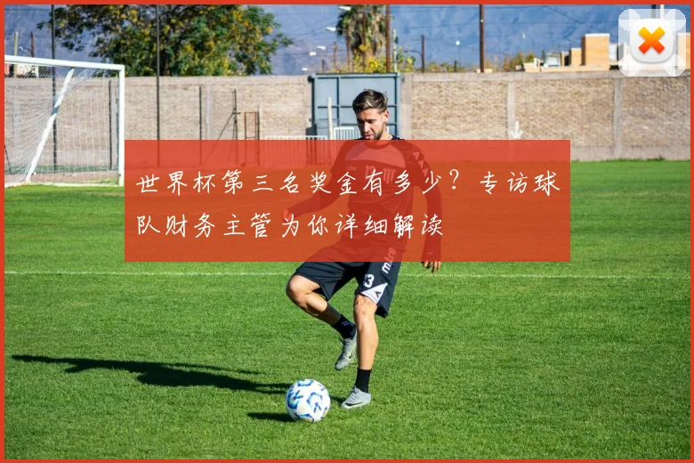 世界杯第三名奖金有多少？专访球队财务主管为你详细解读
