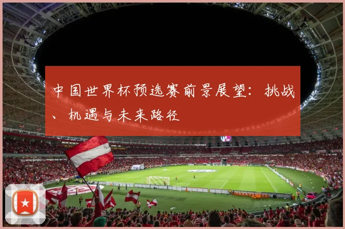 中国世界杯预选赛前景展望：挑战、机遇与未来路径
