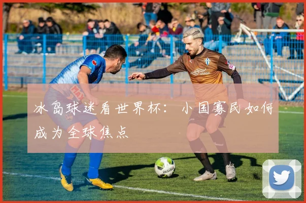 冰岛球迷看世界杯：小国寡民如何成为全球焦点