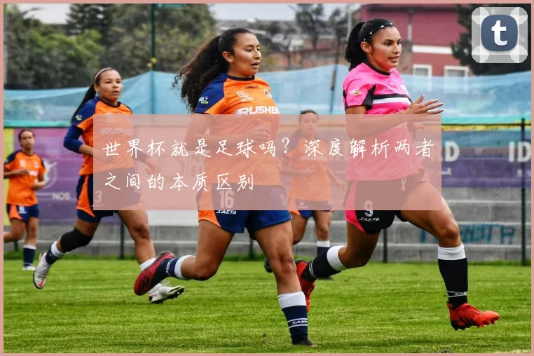 世界杯就是足球吗？深度解析两者之间的本质区别